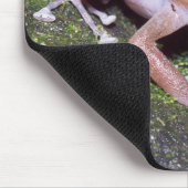 Guajon Muismat (Hoek)