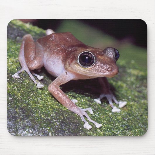 Guajon Muismat (Voorkant)