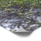 Guajon Poster (Hoek)