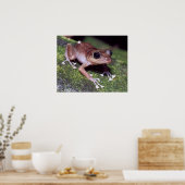 Guajon Poster (Keuken)