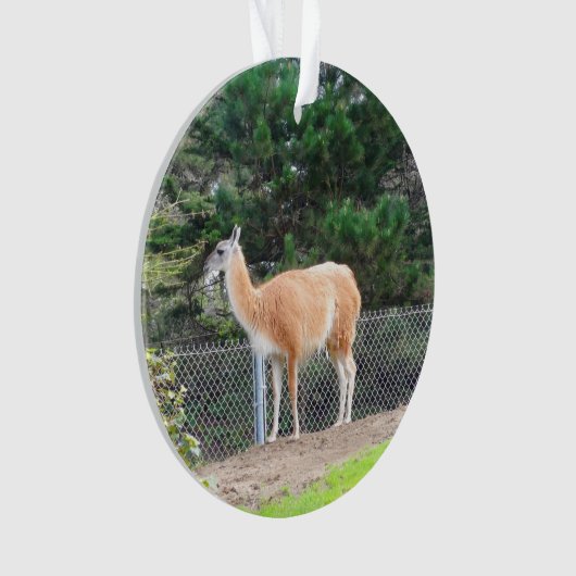 Guanaco #1 Ornament (voorkant)