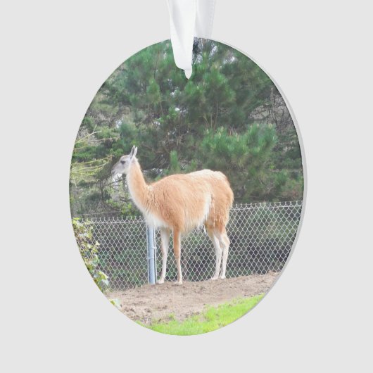 Guanaco #1 Ornament (voorkant)