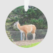 Guanaco #1 Ornament (voorkant)