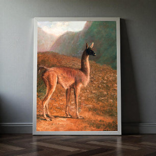 Guanaco (ca. 1848) schilderij van Jacques-Laurent  Poster