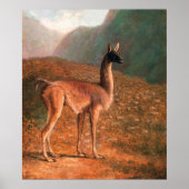 Guanaco (ca. 1848) schilderij van Jacques-Laurent  Poster (Voorkant)