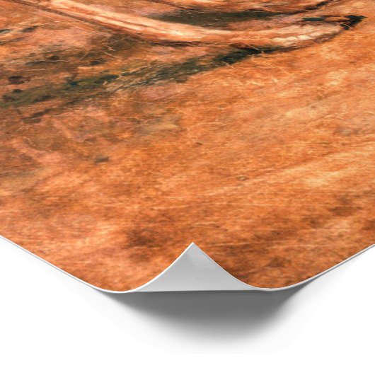 Guanaco (ca. 1848) schilderij van Jacques-Laurent  Poster (Hoek)