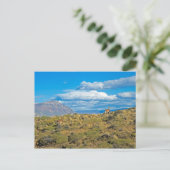 Guanaco Country, Patagonia Briefkaart (Staand voorkant)