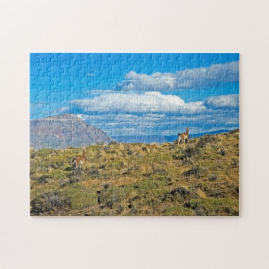 Guanaco Country, Patagonia Legpuzzel (Horizontaal)
