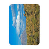 Guanaco Country, Patagonia Magneet (Verticaal)