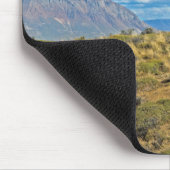 Guanaco Country, Patagonia Muismat (Hoek)