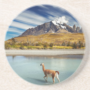 Guanaco die de rivier in Torres del Paine kruisen Zandsteen Onderzetter