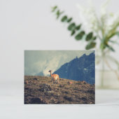 Guanaco Mountain Briefkaart (Staand voorkant)