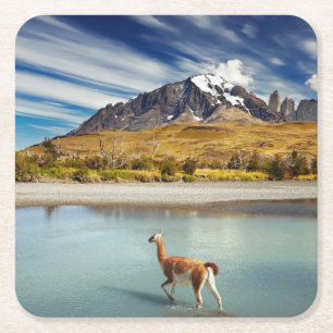 Guanaco over de rivier de Torres del Paine Kartonnen Onderzetters
