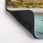 Guanaco over de rivier de Torres del Paine Muismat (Hoek)