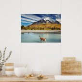 Guanaco over de rivier de Torres del Paine Poster (Keuken)