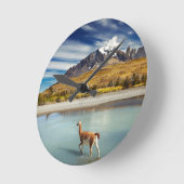 Guanaco over de rivier de Torres del Paine Ronde Klok (Hoek)