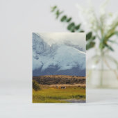 Guanacos Mountain Peak Briefkaart (Staand voorkant)