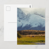 Guanacos Mountain Peak Briefkaart (Voorkant / Achterkant)