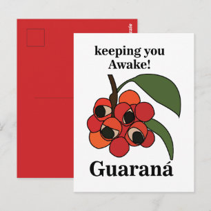 Guarana Fruit Plant Botanisch Briefkaart