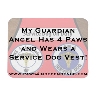 Guardian Angel Car Magnet Magneet