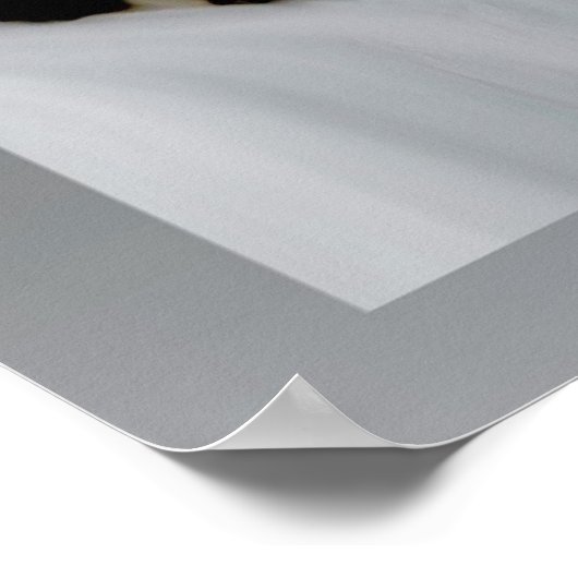 Guardian Angel en Owl Poster (Hoek)