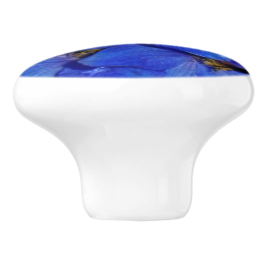 Guardian Blue Delphiniums Larkspur Keramische Knop (Zijkant)