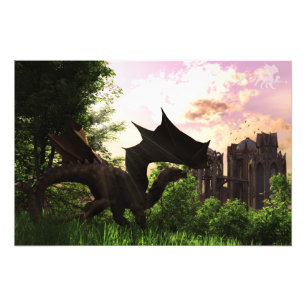 Guardian Foto Afdruk