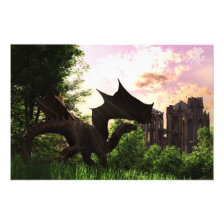 Guardian Foto Afdruk