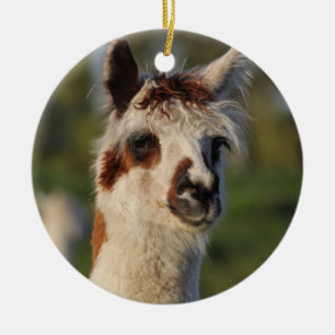 Guardian Llama Keramisch Ornament