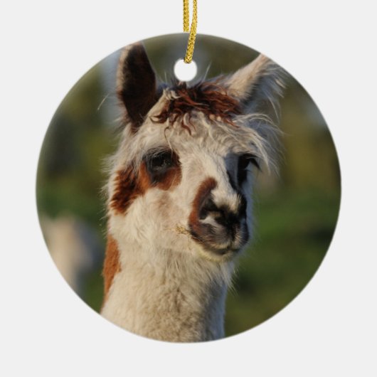 Guardian Llama Keramisch Ornament (Voorkant)