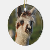 Guardian Llama Keramisch Ornament (Links)