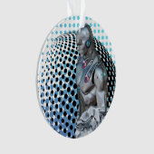 Guardian of the Digital Realm Ornament (voorkant)