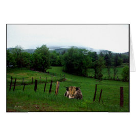 Guardian of the Emerald Field