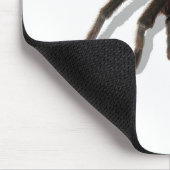 Guardian Tarantula Muismat (Hoek)