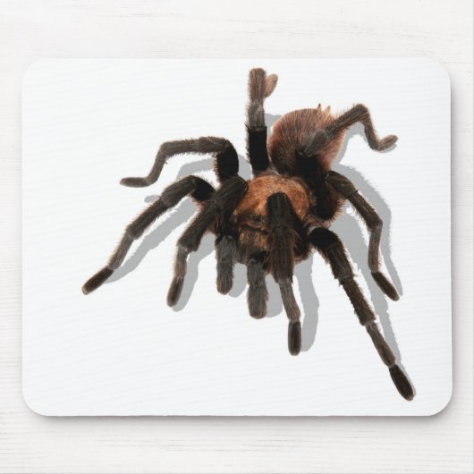 Guardian Tarantula Muismat (Voorkant)