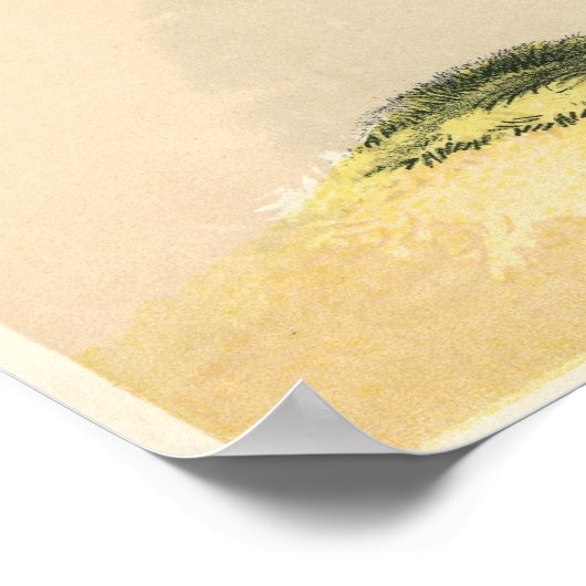 Guardsman van het Britse leger Poster (Hoek)