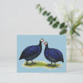 Guas Royal Paars Pair Briefkaart (Staand voorkant)