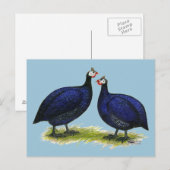 Guas Royal Paars Pair Briefkaart (Voorkant / Achterkant)