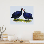 Guas Royal Paars Pair Poster (Keuken)