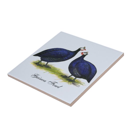 Guas Royal Paars Pair Tegeltje (Zijkant)