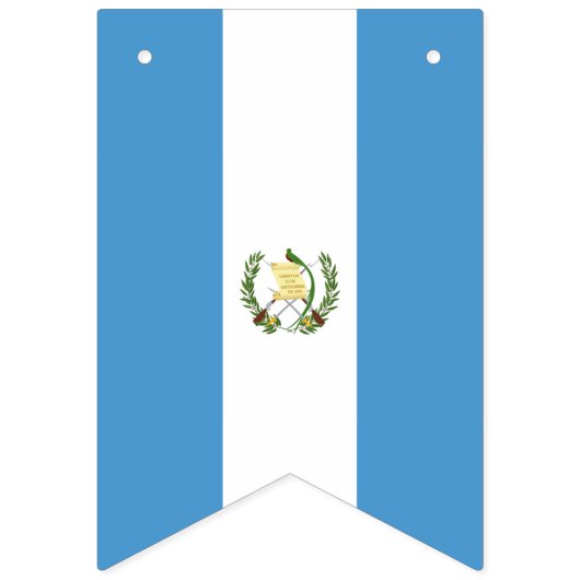 Guatemala flag  vlaggetjes (Tweede vlag)