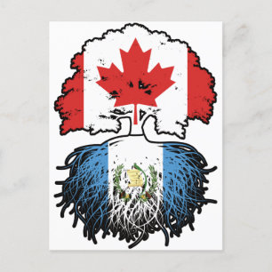 Guatemala Guatemalteekse Canadese bomen in Canada Briefkaart