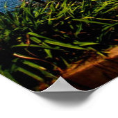 Guatemala, het prachtige landschap van de Natuur Poster (Hoek)