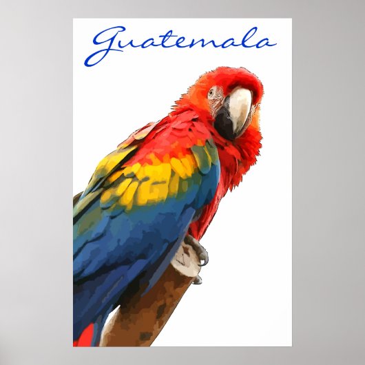 Guatemala Scarlet Macaw Poster (Voorkant)