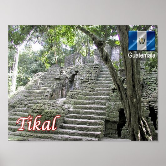 Guatemala - Tikal - Poster (Voorkant)