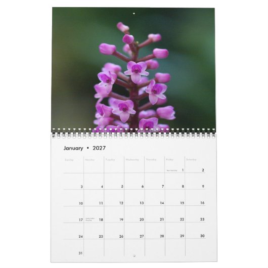 Guatemalteekse Orchids Agenda Kalender (Jan 2027)