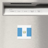 Guatemalteekse vlag magneet (Insitu (Vaatwasser))