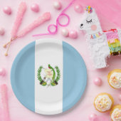 Guatemalteekse vlag papieren bordje (Feest)