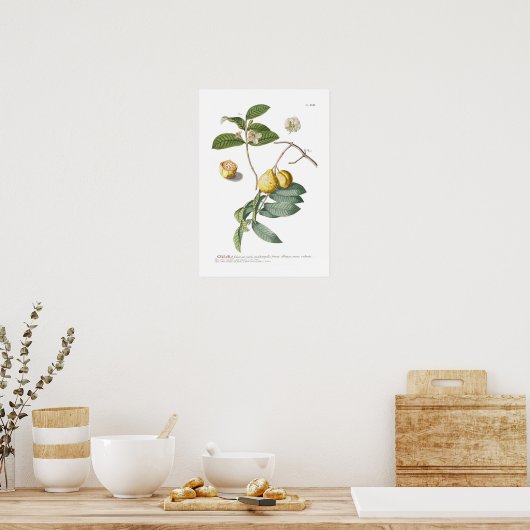 Guava Poster (Keuken)