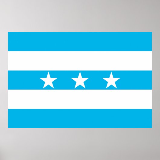 Guayaquil, vlag van Ecuador Poster (Voorkant)